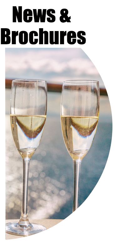 Champagne glasses with ocean in background